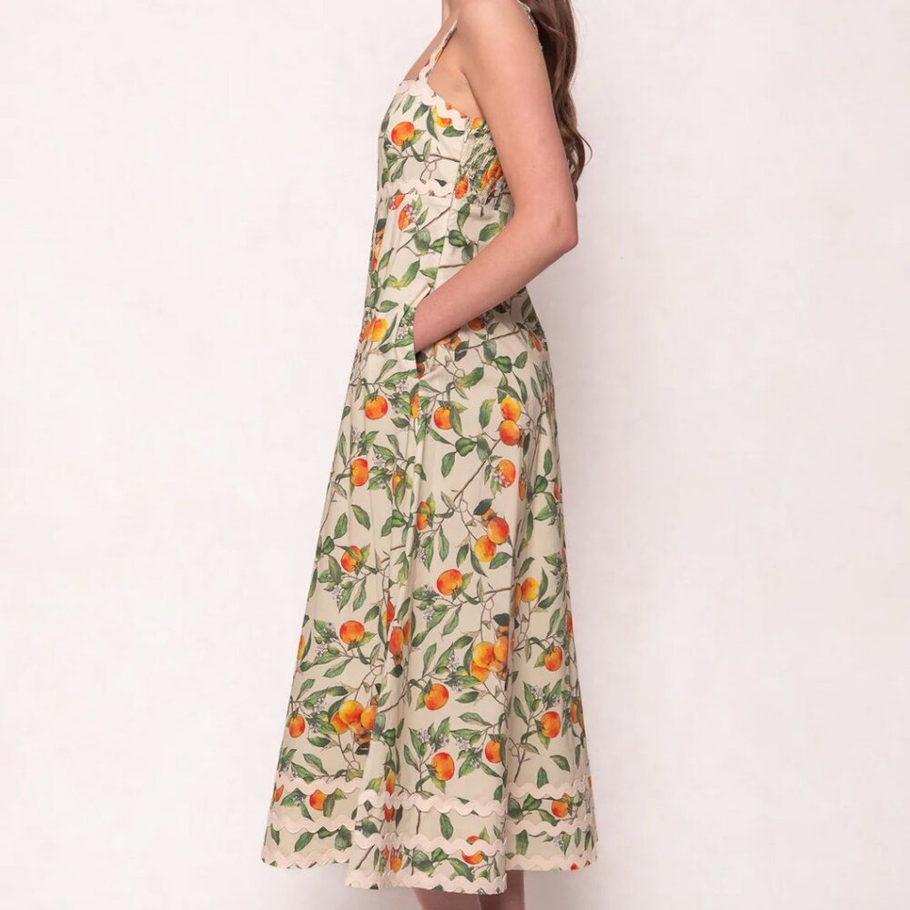 Ivy City Palmer Dress in Peach Blossom